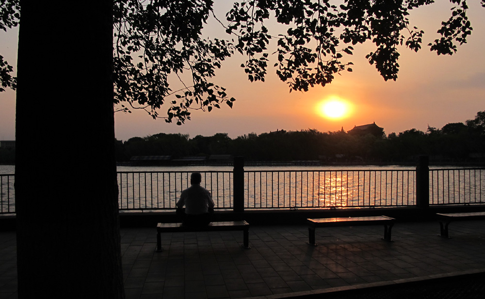 北海的夕阳 摄影 躺在大树下