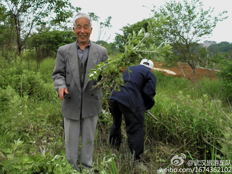 祝色友端午节快乐！ 摄影 武汉旅游车队