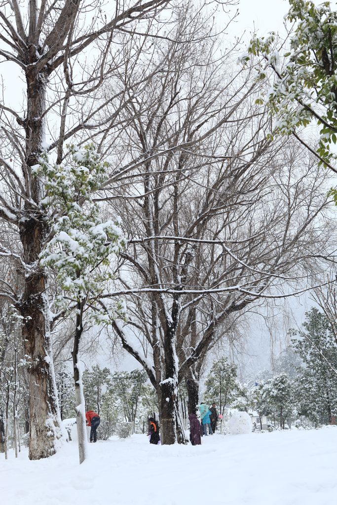 雪 摄影 印记摄色