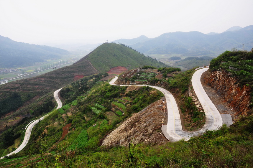 丫山蛇道 摄影 liuguorong