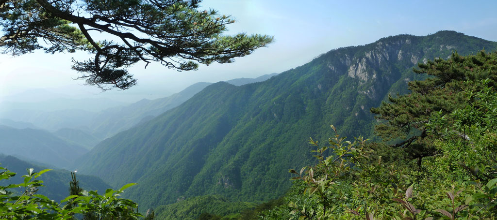 安吉龙王山 摄影 江平