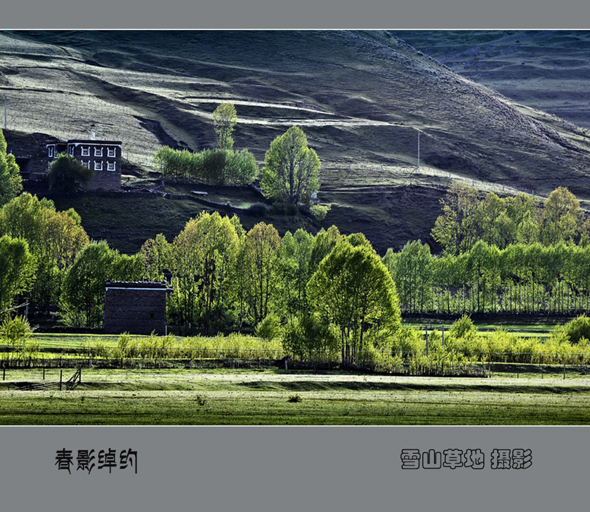 春影绰约 摄影 雪山草地