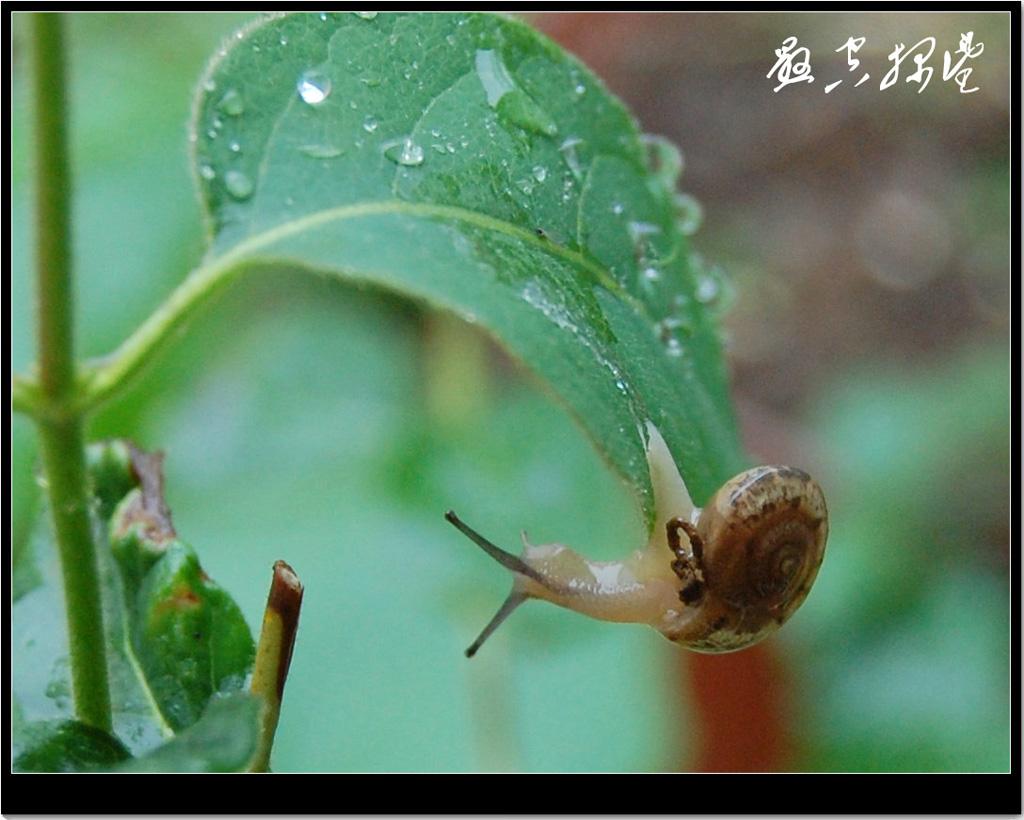 悬空探望 摄影 一凡乐乐