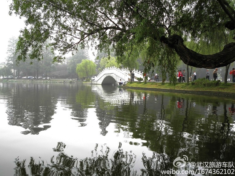 端午节前de东湖 摄影 武汉旅游车队