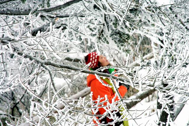 听雪 摄影 冬吉吉