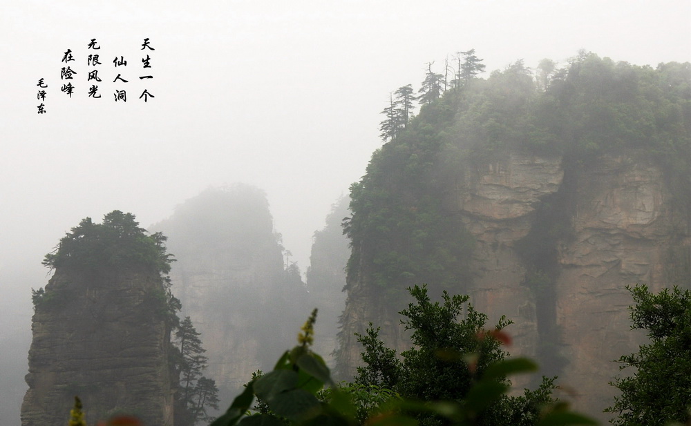 迷人的张家界（15）--天然图画2 摄影 蓉城一朵云