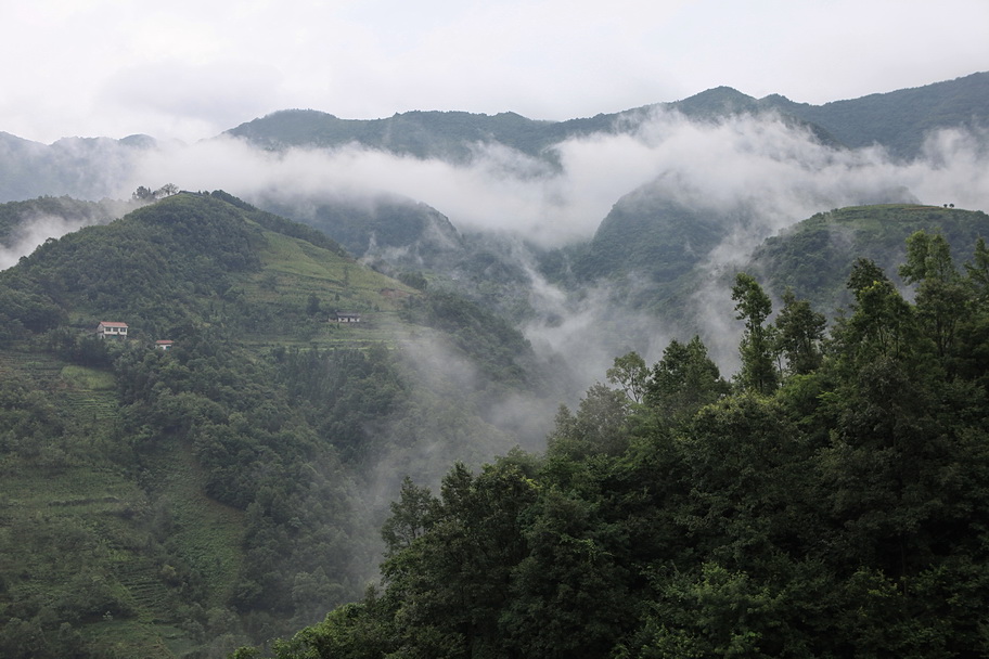 烟雨巴山 摄影 Jansion