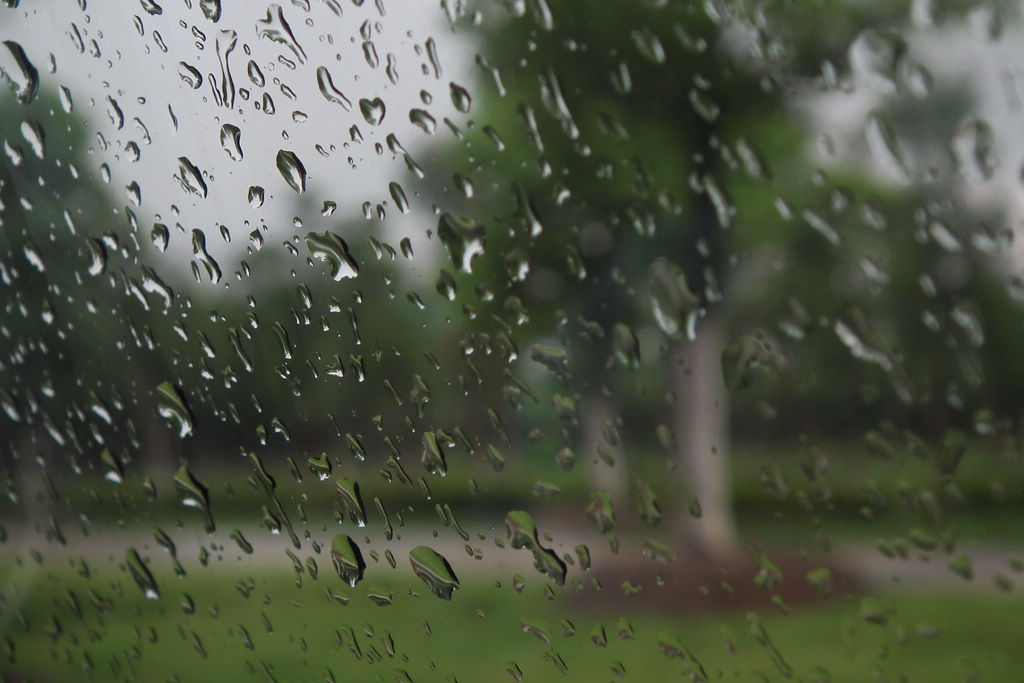 雨天车中随拍 摄影 影石