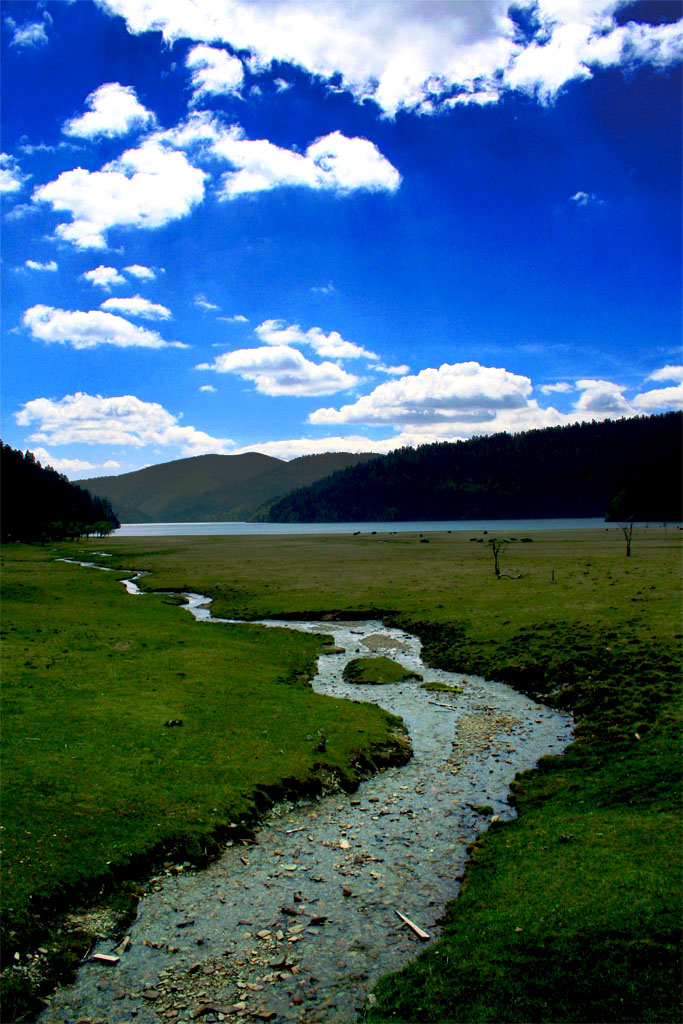 香格里拉风光 摄影 ningningyiyi