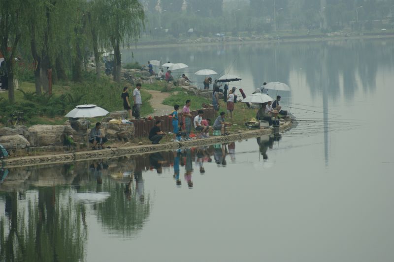 垂钓 摄影 英子的秋天