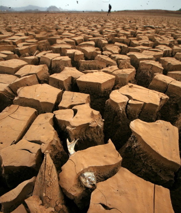 干枯大地之社 摄影 干枯大地之社