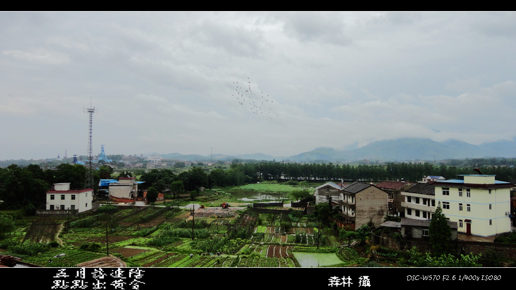 雨隙 摄影 金森林