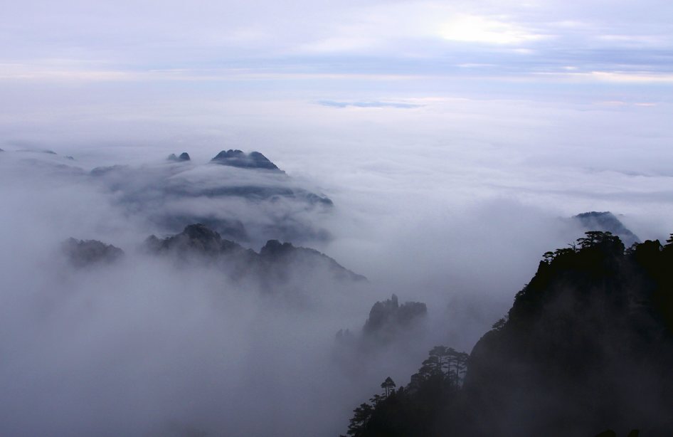 黄山.云端 摄影 sanse