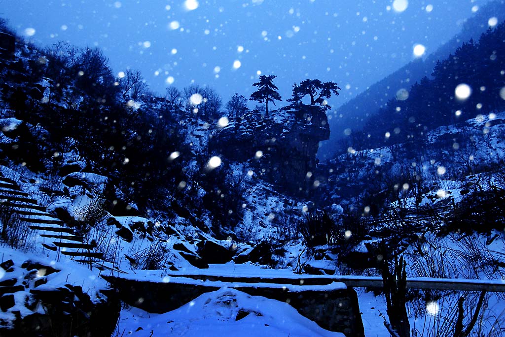 傲雪红岩 摄影 朝花夕摄