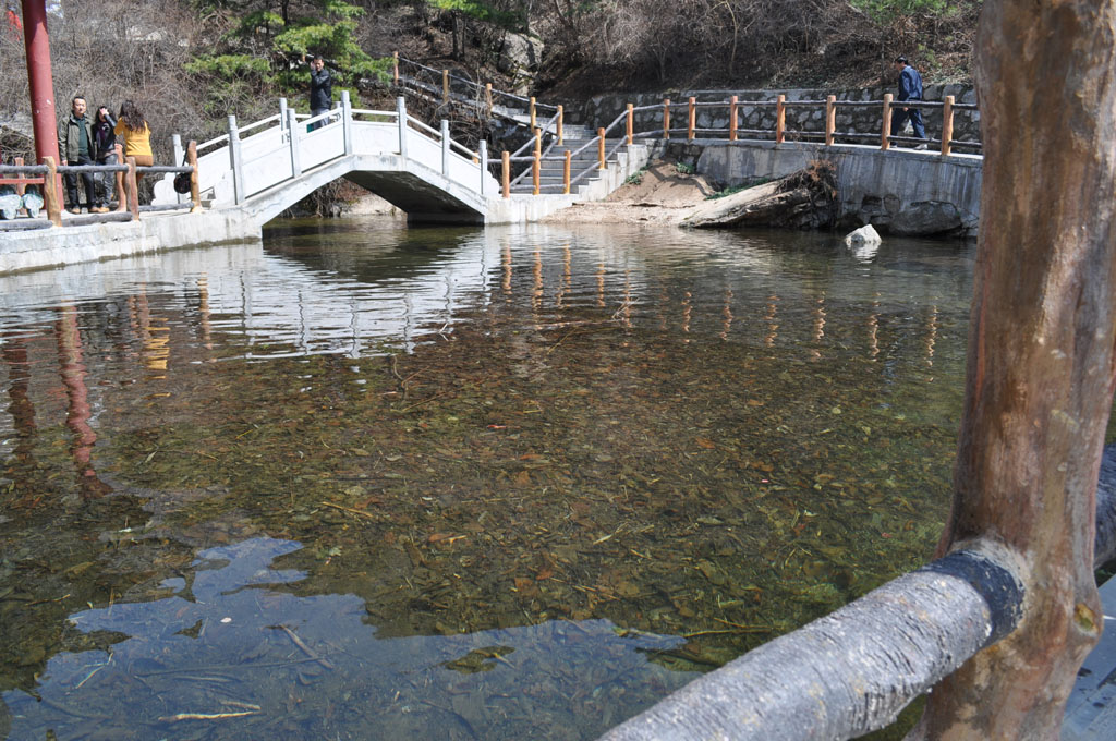 王顺山森林公园 摄影 丶九天灬丿鹏