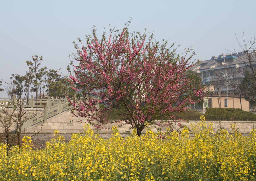 乡村美景 摄影 喜得乐