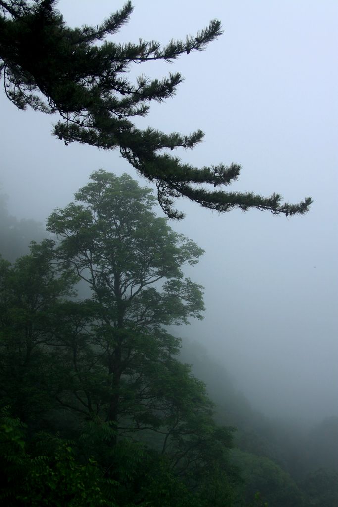 太白山 摄影 琴瑟和鸣