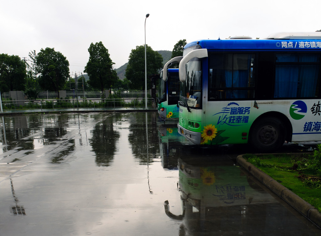 雨后 摄影 月岛翁