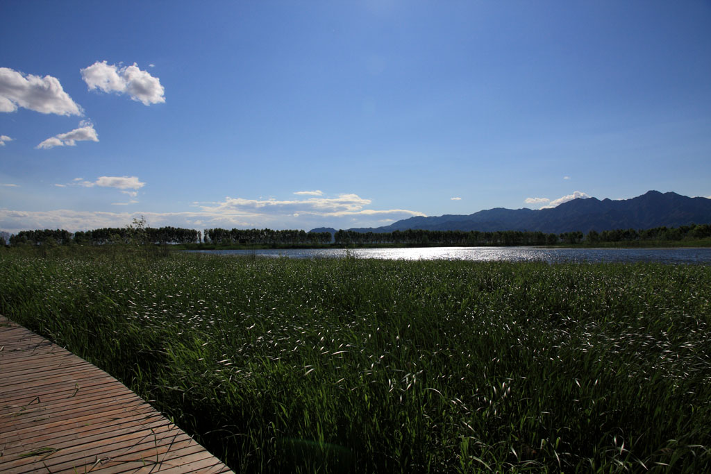 夏日京郊 2 摄影 兔兔陈