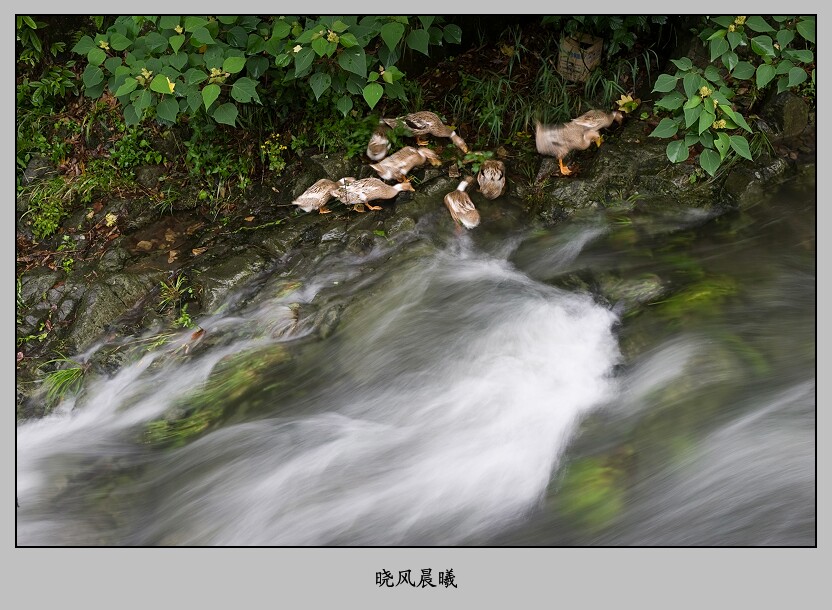 雨后山溪 摄影 晓风晨曦