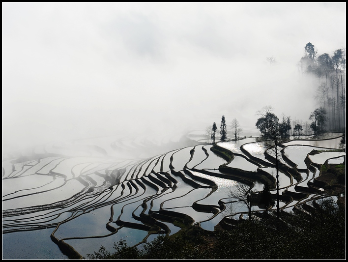 云海梯田 摄影 高山客