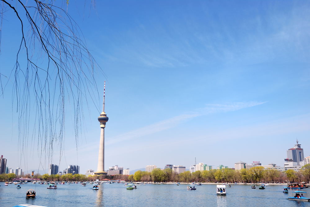 晴空春景 摄影 luzhouzjy