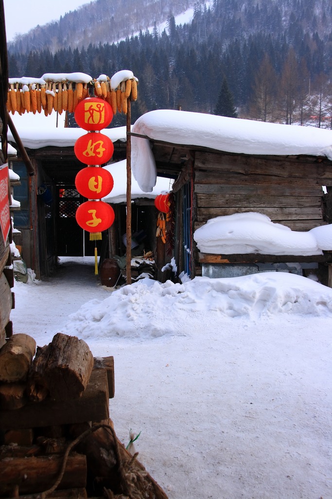 雪乡 摄影 黑胶盘