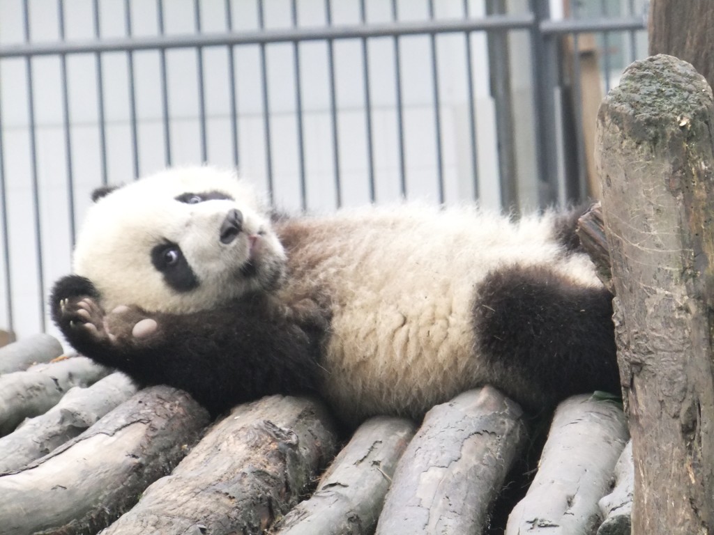 hello! 摄影 晓晓儿