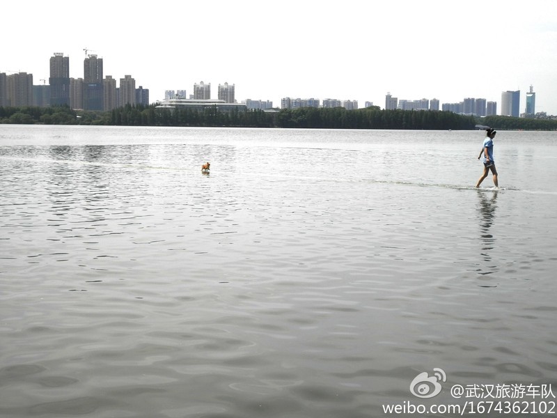 凌波门前水上飘(1) 摄影 武汉旅游车队