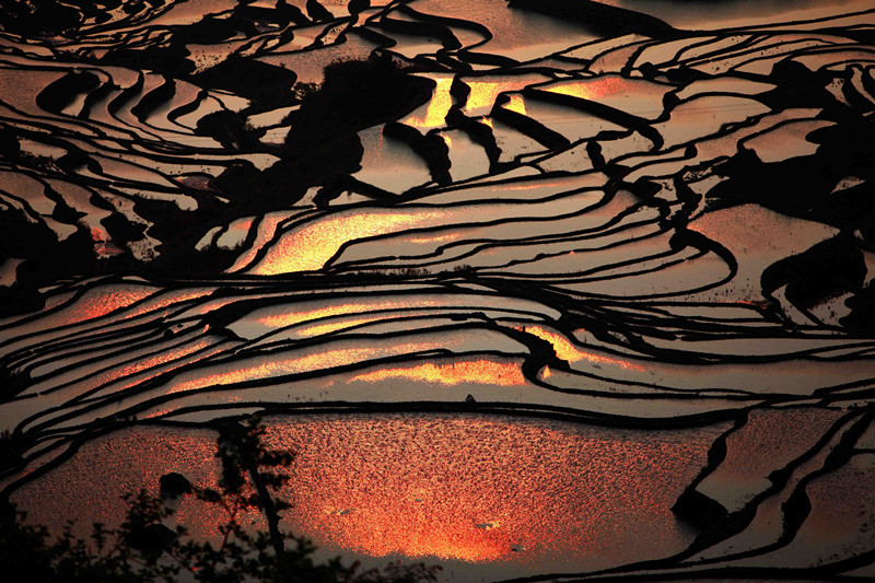 元阳梯田 摄影 行至巫山