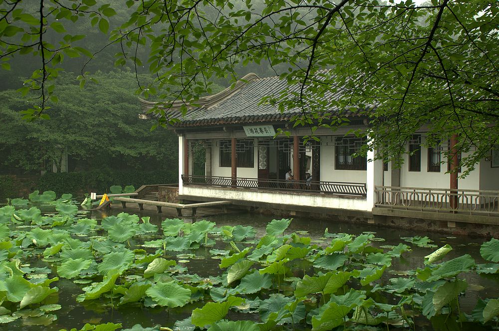 江南雨 摄影 二泉印月