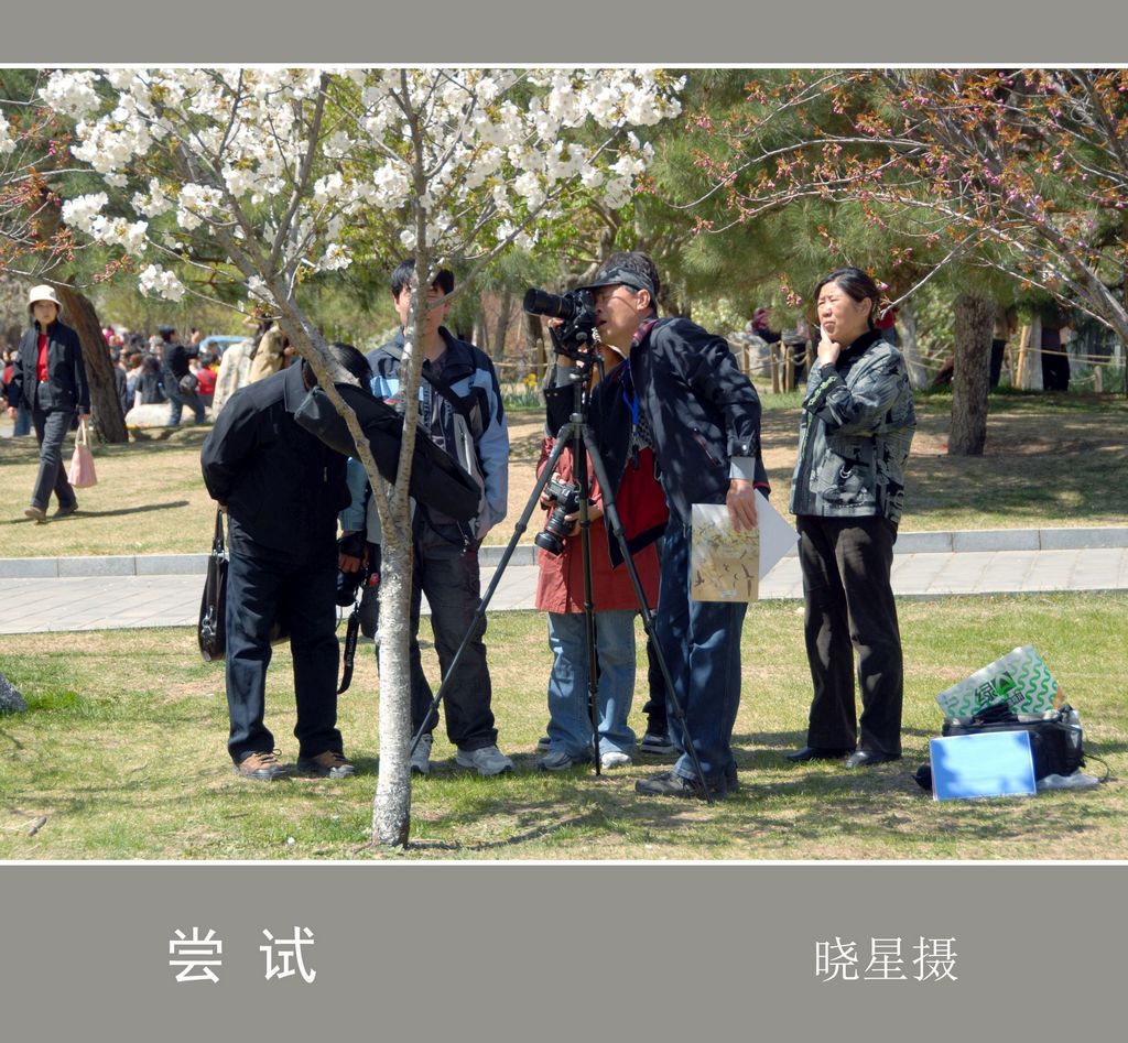 尝试（出好片，多试验） 摄影 晓星