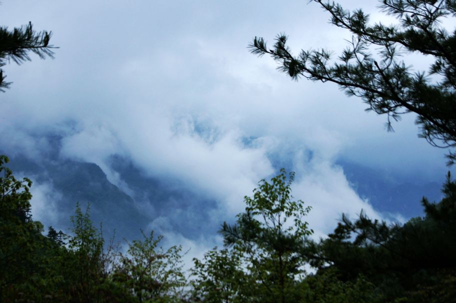 秦岭印象~8~沸腾的青山 摄影 搏击光影手