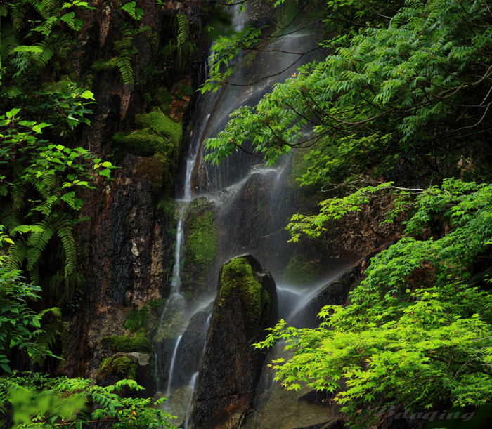 山瀑 摄影 Bdaqing