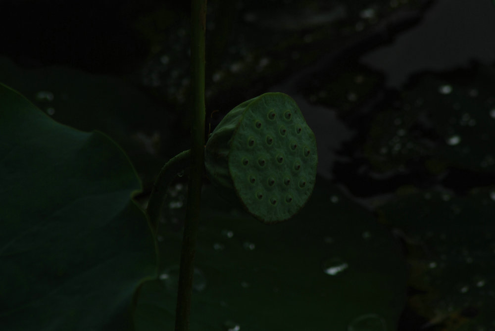 静 摄影 雕虫小技