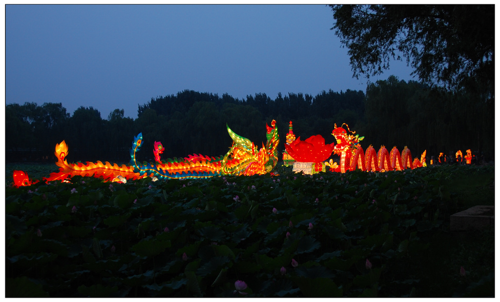 龙凤呈祥 摄影 禅思