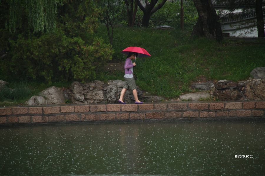 走过雨中 摄影 胡俊中