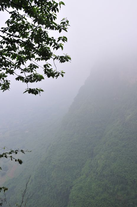 峡谷 摄影 冬林