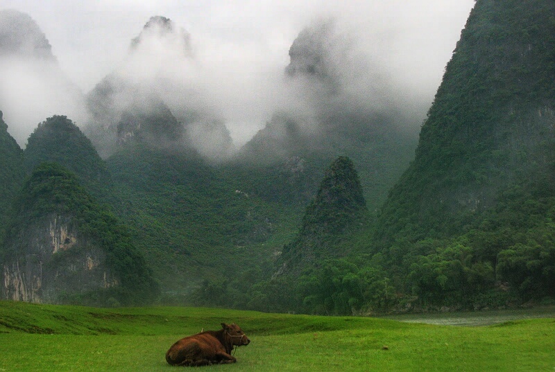 雨后青山 摄影 老广