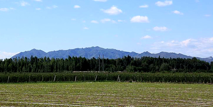 伟人像 摄影 夏雪儿