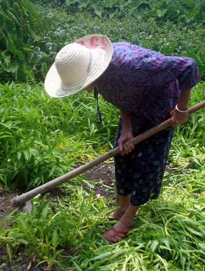 母亲在夏至的日子里 摄影 马富芝