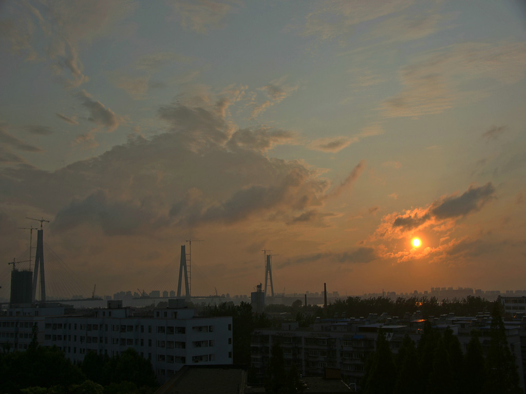 夕照下的在建二七长江大桥（2） 摄影 haihongsy