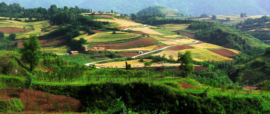 大地 摄影 智水仁山