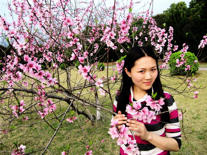 花非花 摄影 笑完枭雄