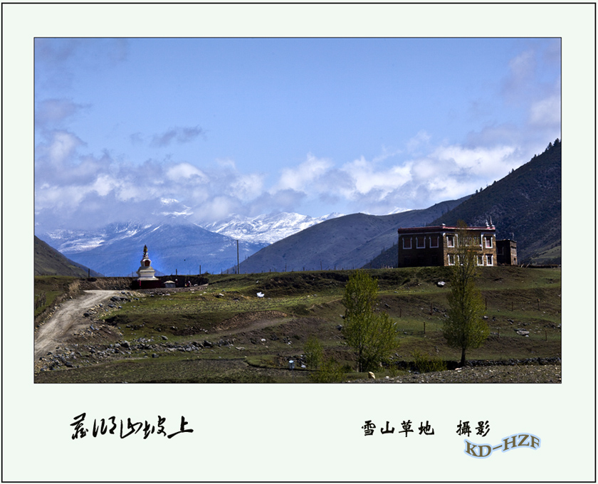 藏乡山坡上 摄影 雪山草地