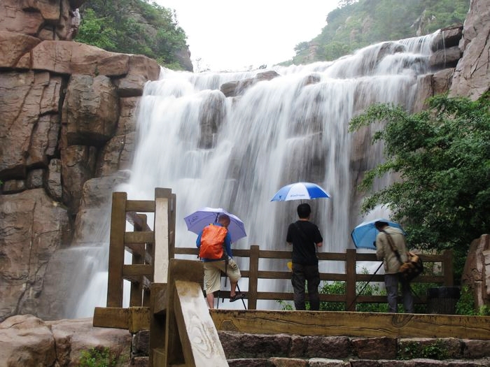 雨中情 摄影 叶子老陈