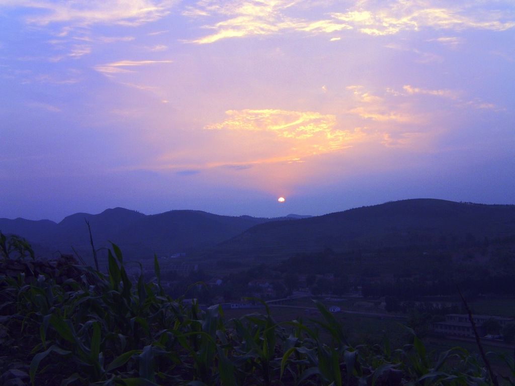 夕阳-2 摄影 五角枫