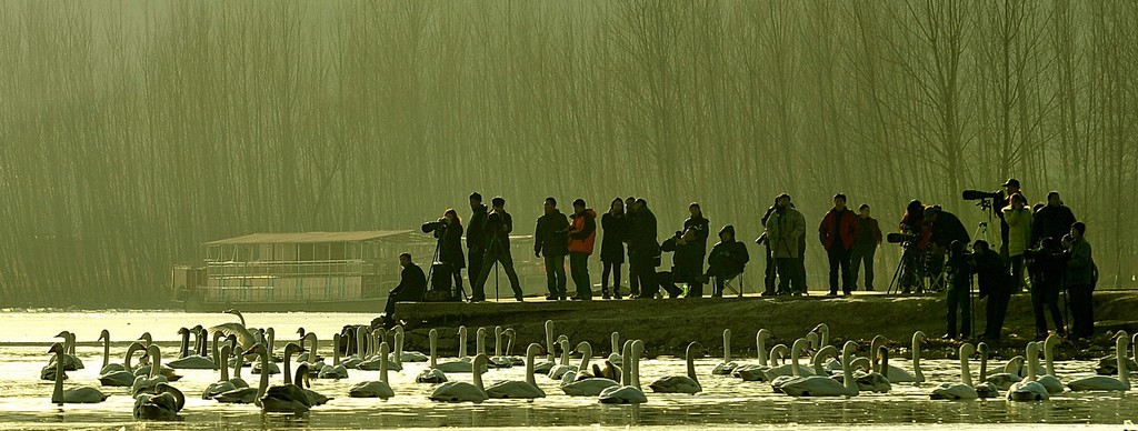 各取所需（点击大图） 摄影 乌兰湖