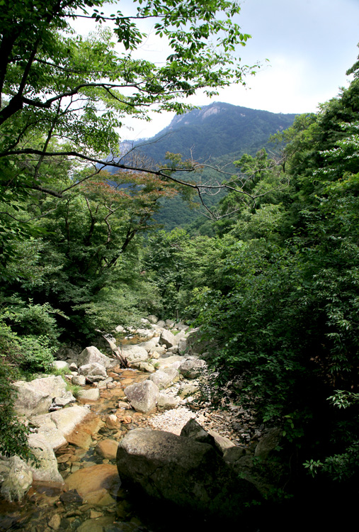 大别山 摄影 镜头中的世界