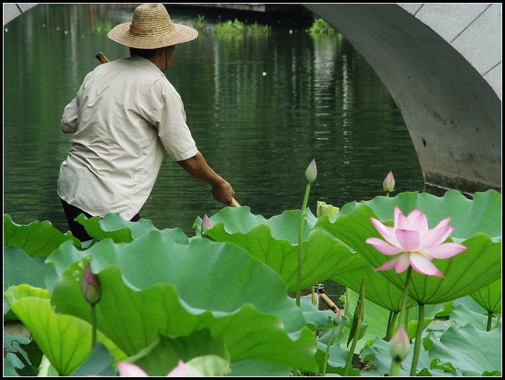 守护者-背影 摄影 红棉